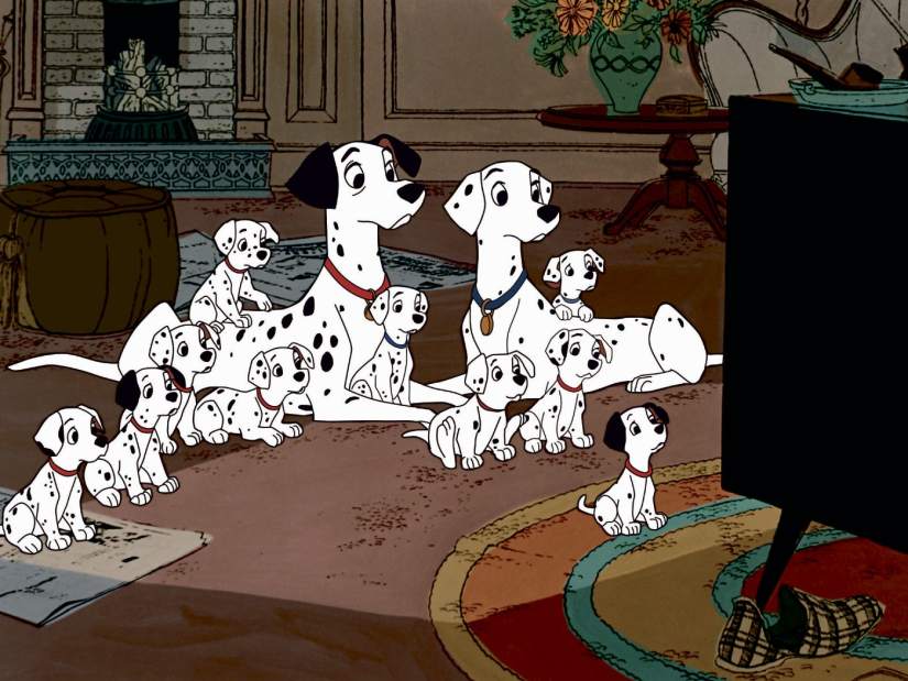 ptrLIVdalmations070916