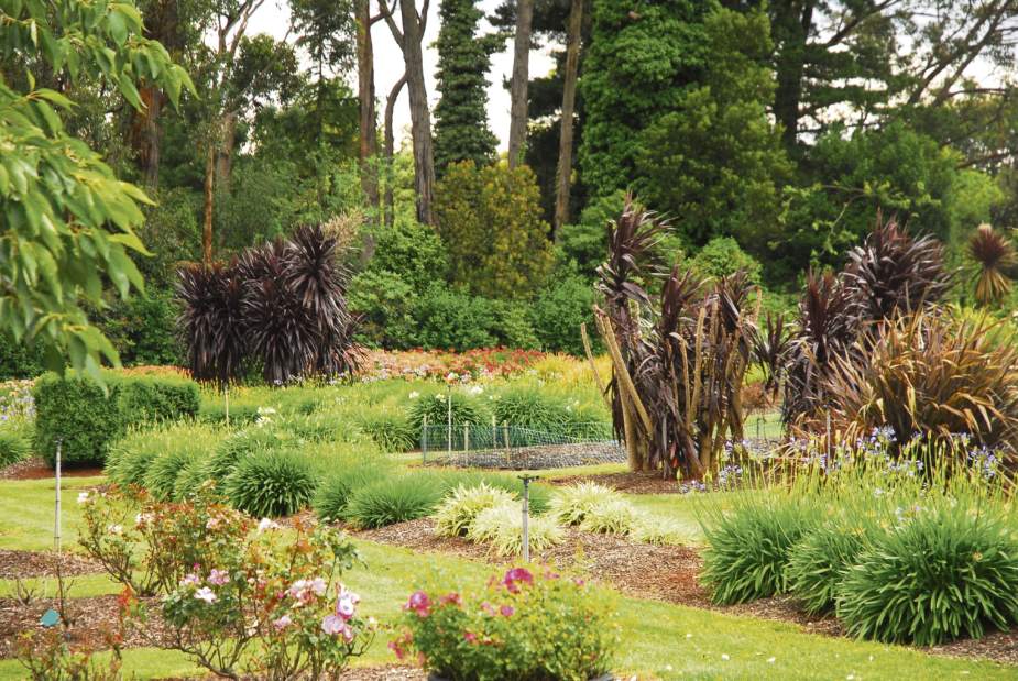 ptrLIVdrought10042916