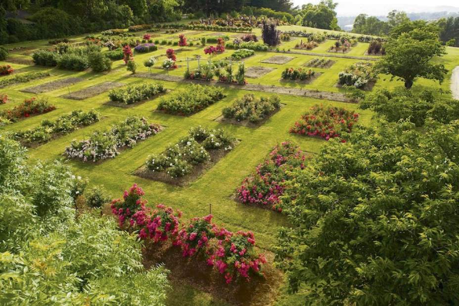 ptrLIVdrought8042916