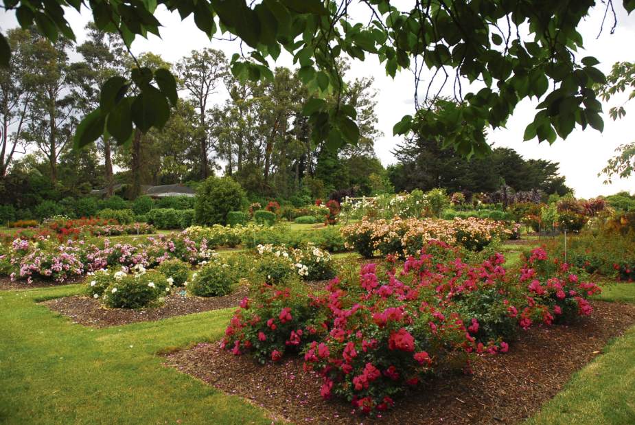 ptrLIVdrought9042916