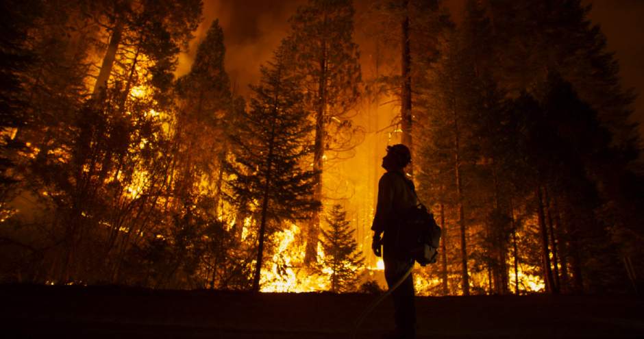 Slide 
													
													3