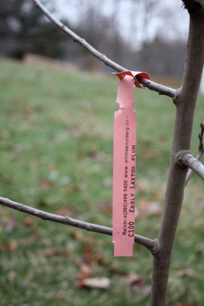 Slide 
													
													1