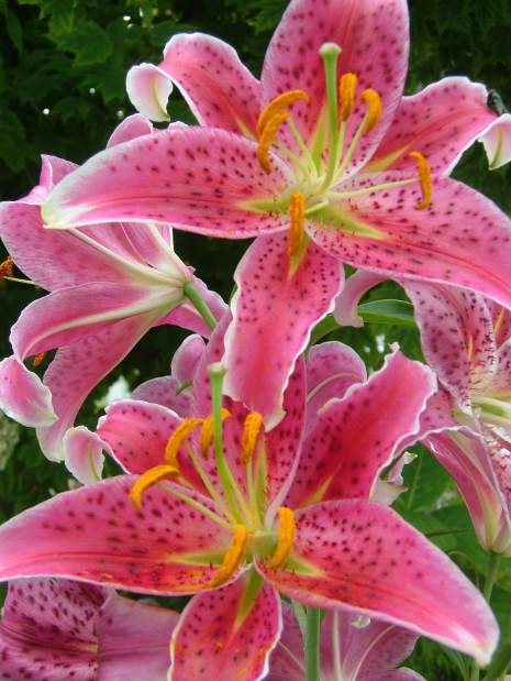 Slide 
													
													1