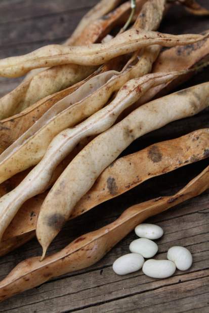 Slide 
													
													2