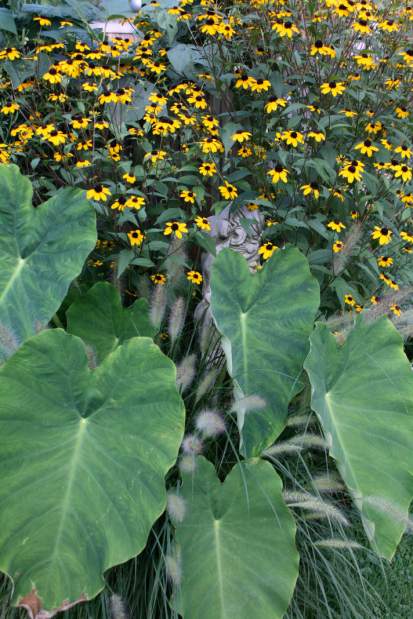 Slide 
													
													1