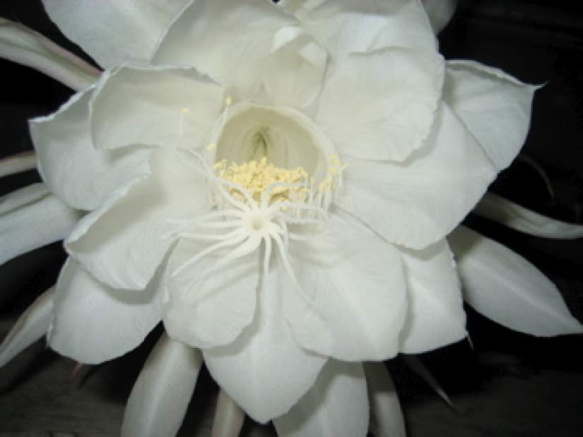 Slide 
													
													3