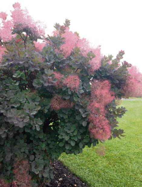 Slide 
													
													1