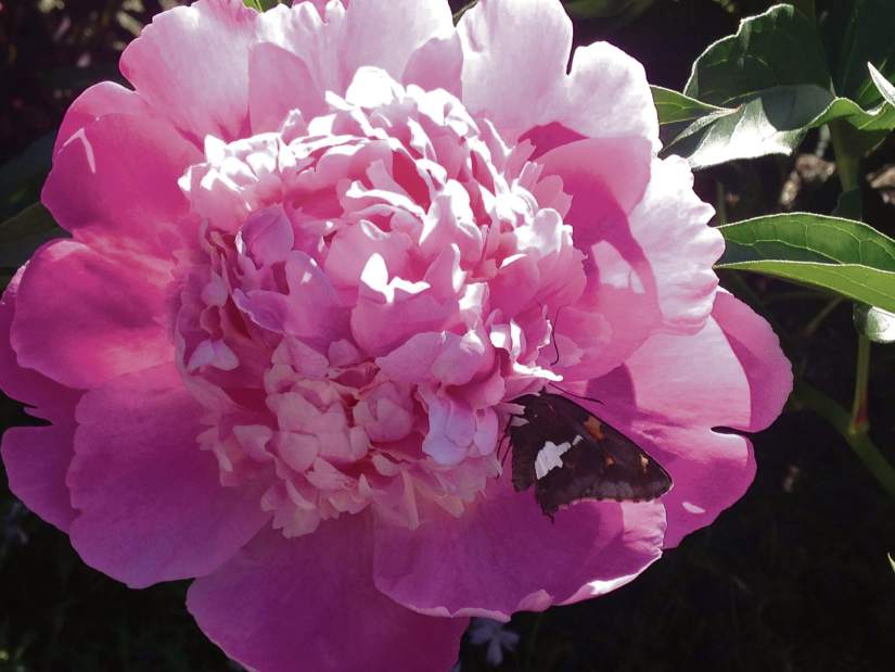 Slide 
													
													1