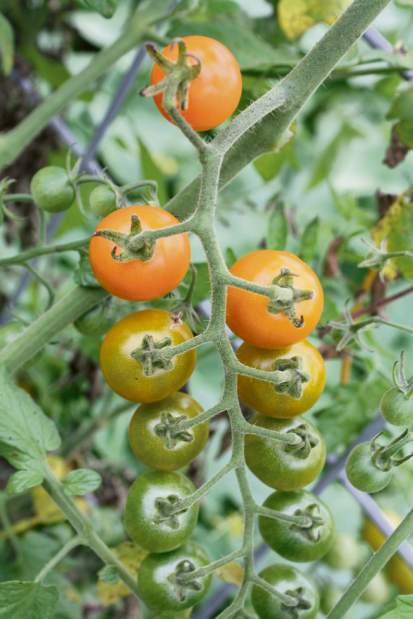 Slide 
													
													1