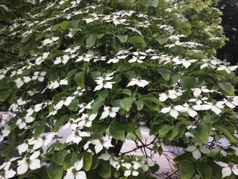 Slide 
													
													2