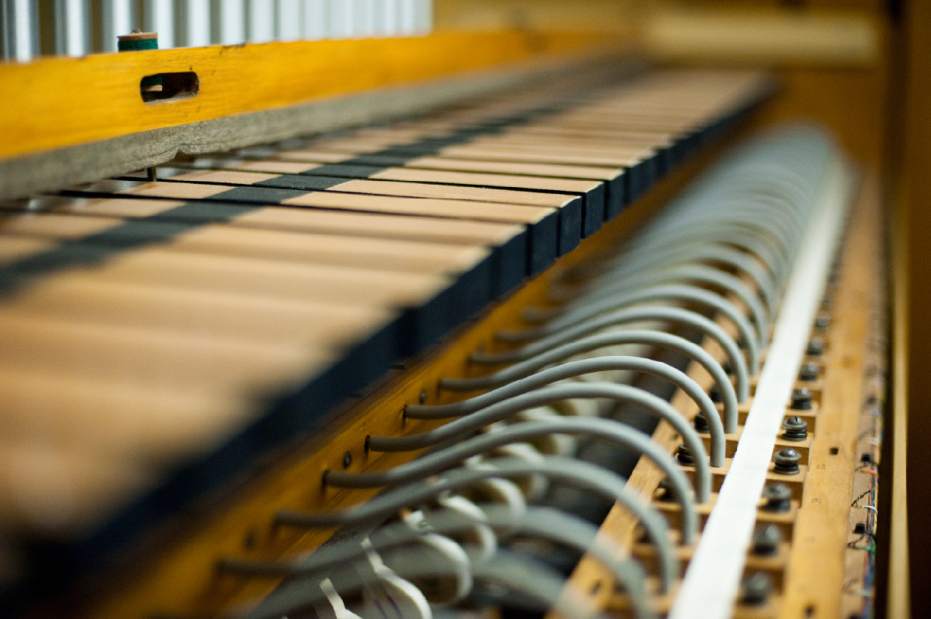 ptrLIVpipeorgans03081212