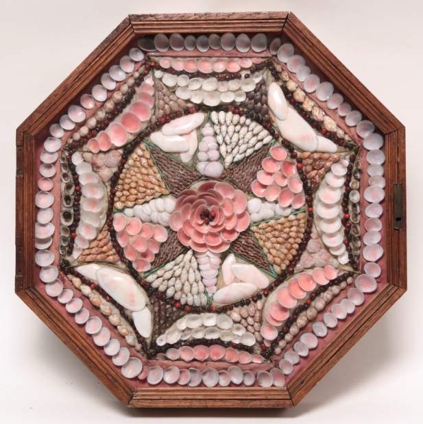 ptrLIVshellart3100414