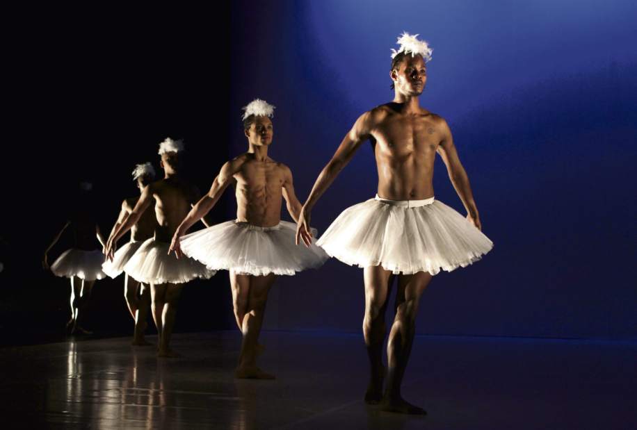 ptrLIVswanlake2012416