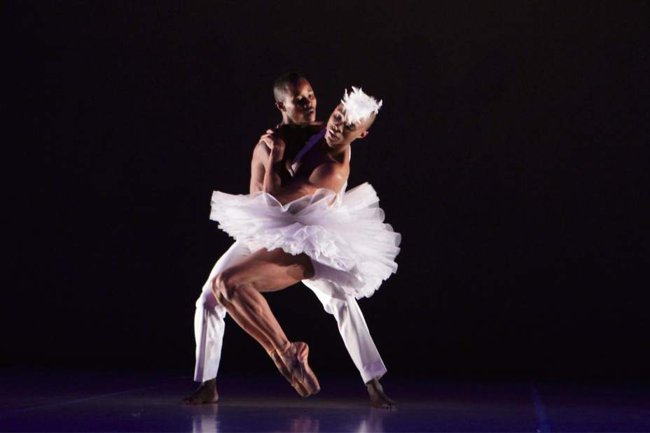 ptrLIVswanlake3012416