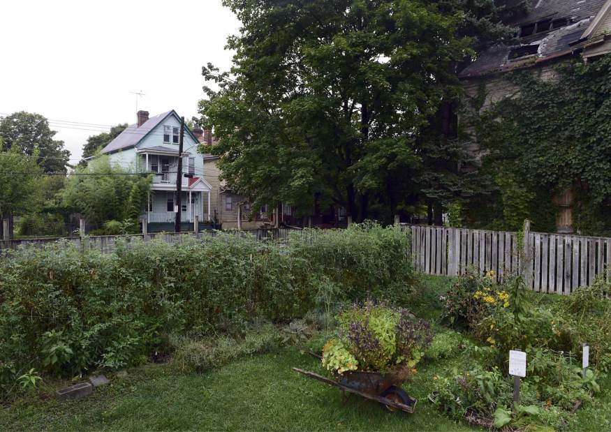 ptrLIVwilktour01092316