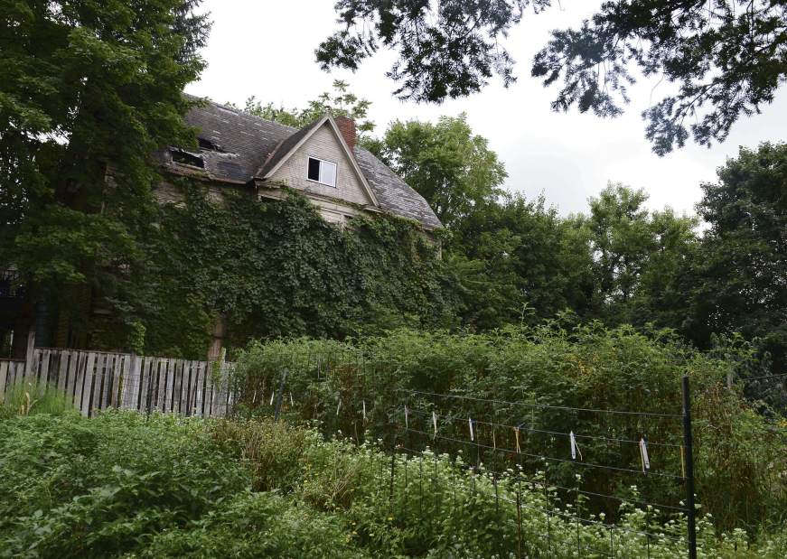 ptrLIVwilktour02092316