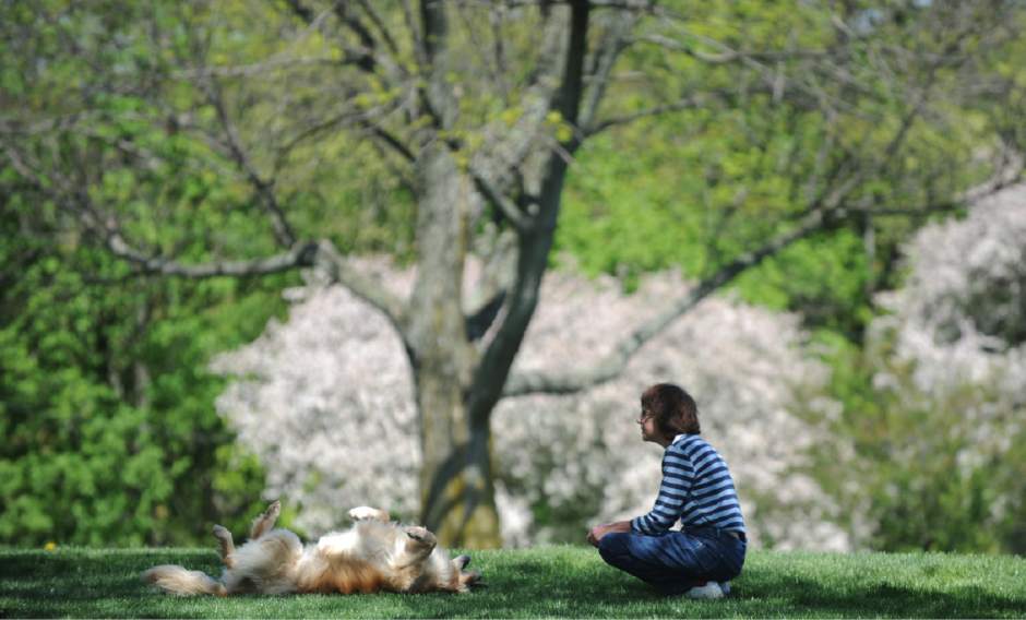 Slide 
													
													11