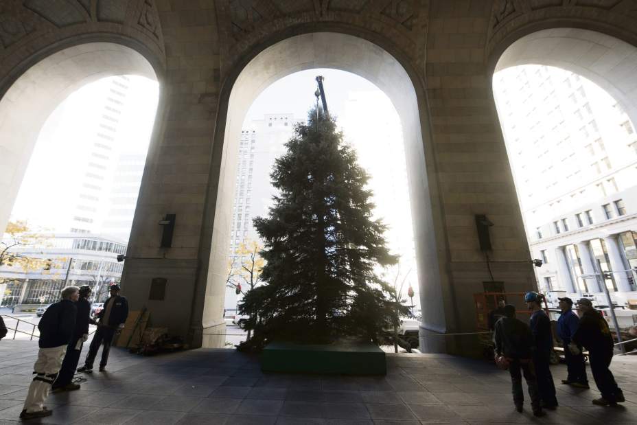 ptrOhXmasTree01110616