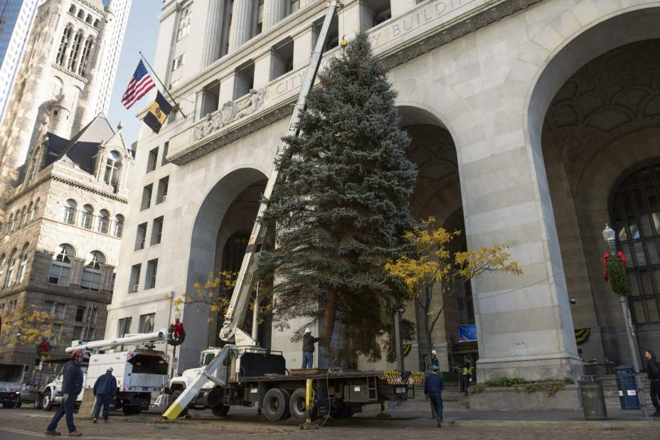 ptrOhXmasTree03110616