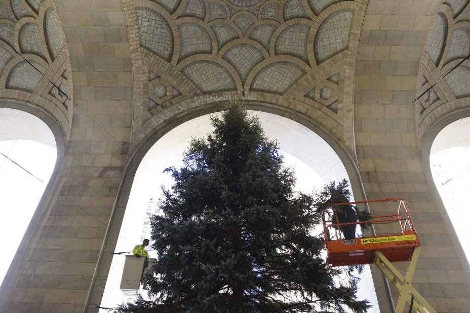 ptrOhXmasTree05110616