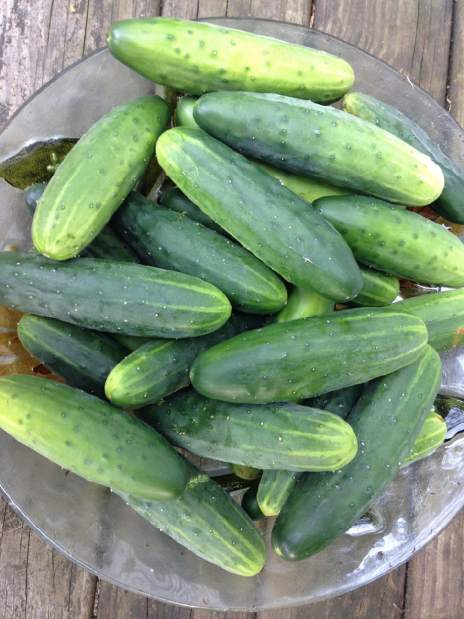 Slide 
													
													1