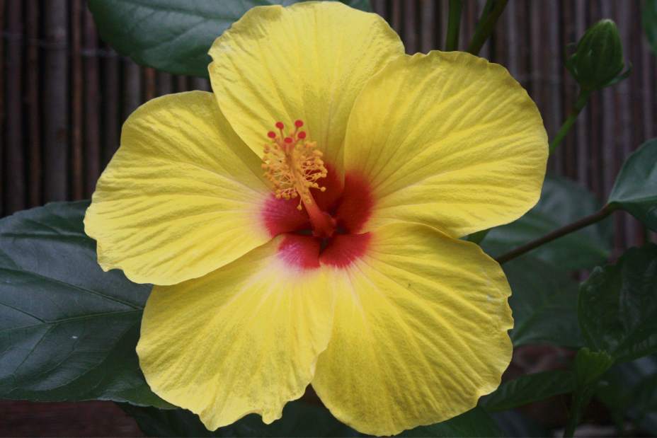 Slide 
													
													1