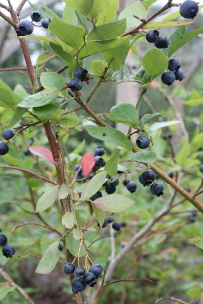 Slide 
													
													1