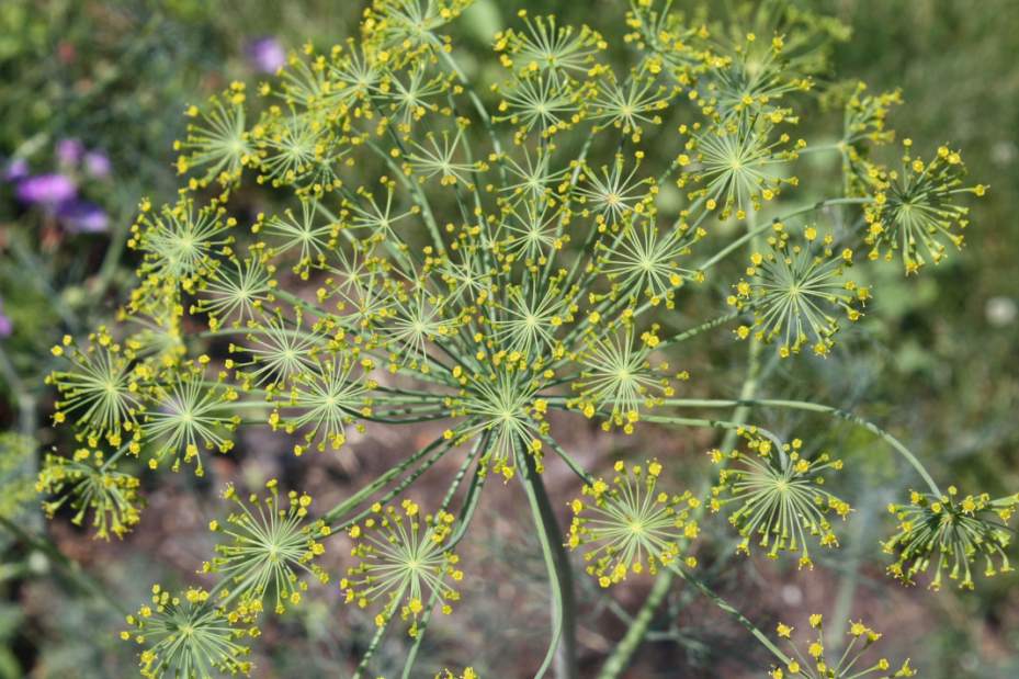 Slide 
													
													1