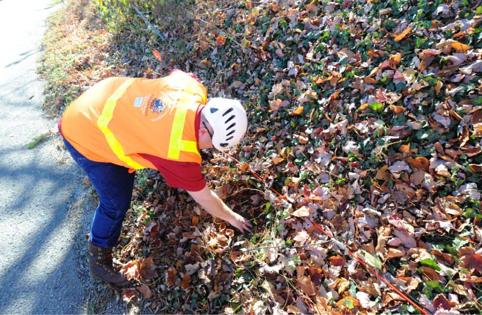 Slide 
													
													1