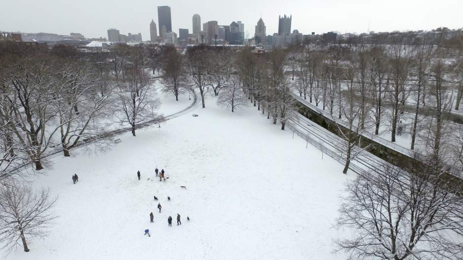 ptrSnowDogPark032218