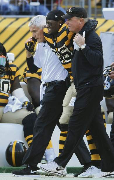 ptrSteelers44110215