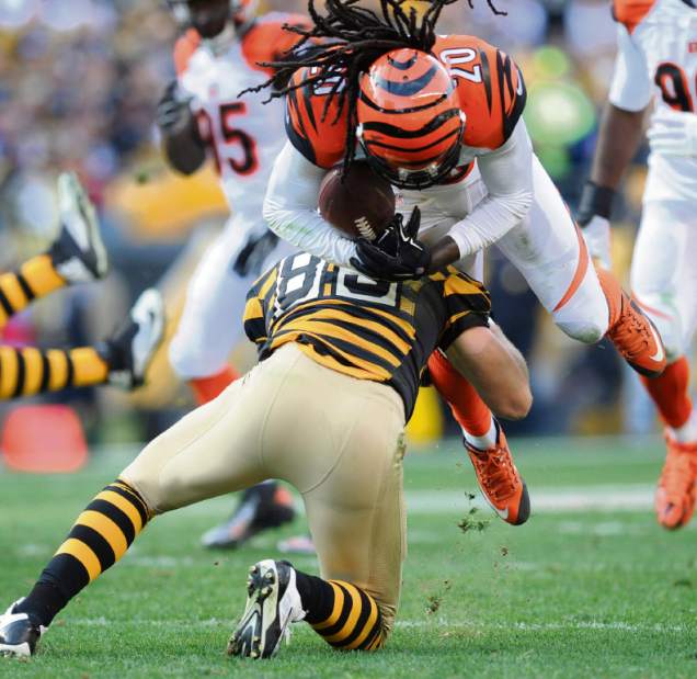 ptrSteelers46110215