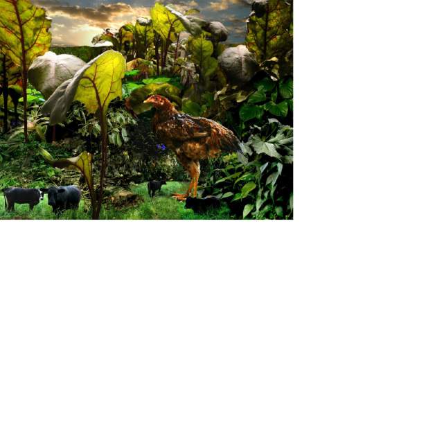 Slide 
													
													4