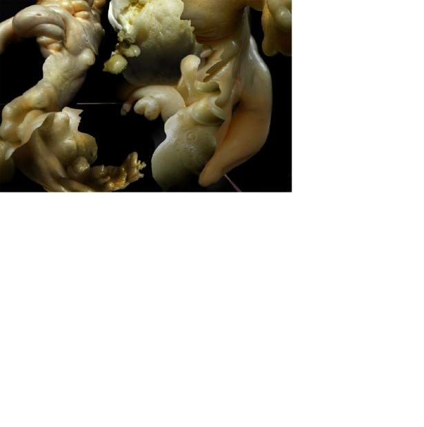 Slide 
													
													5