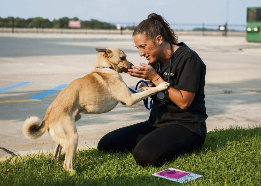 ptrTexasDogs02090517