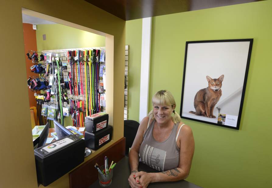 Slide 
													
													3