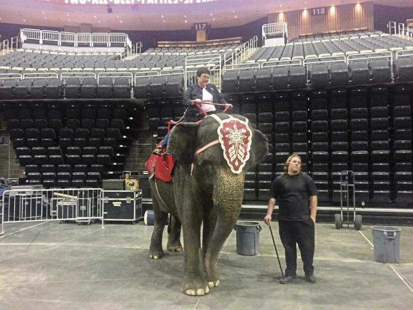 ptrcircus03041117