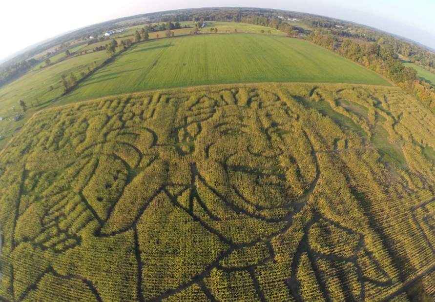 Slide 
													
													5