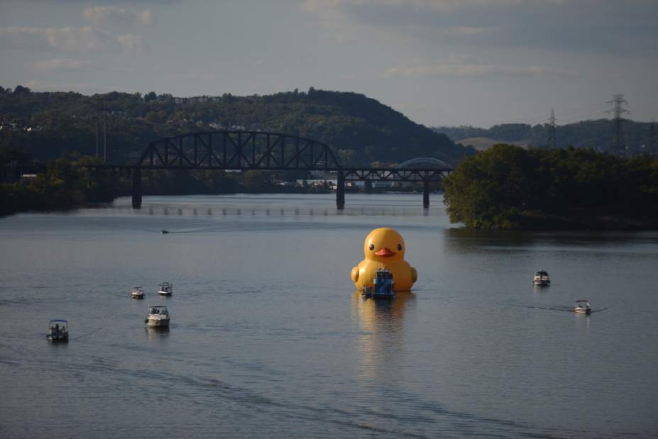 ptrduck010928131