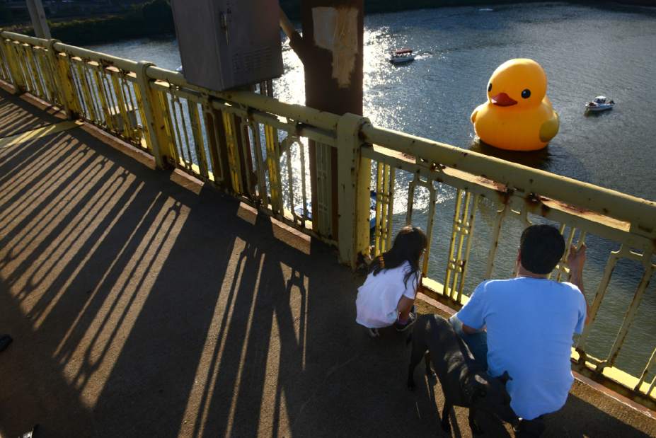 ptrduck04092813