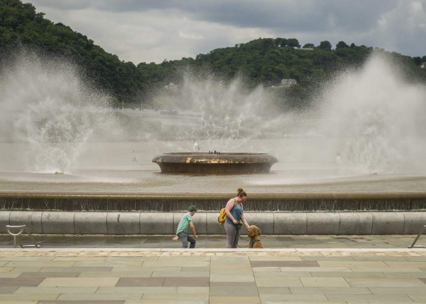 Slide 
													
													1