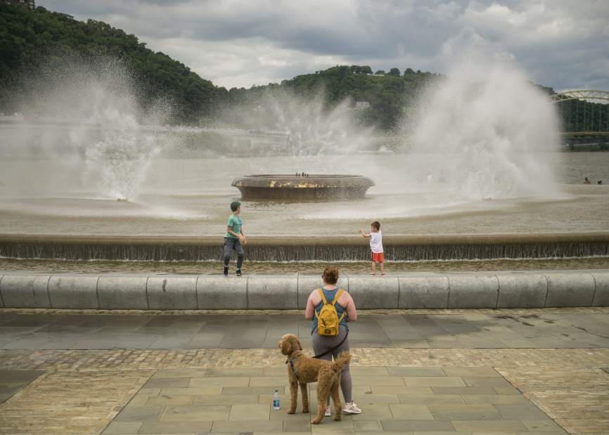 Slide 
													
													3