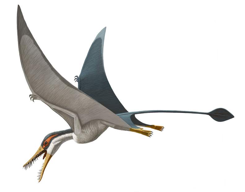 Slide 
													
													7