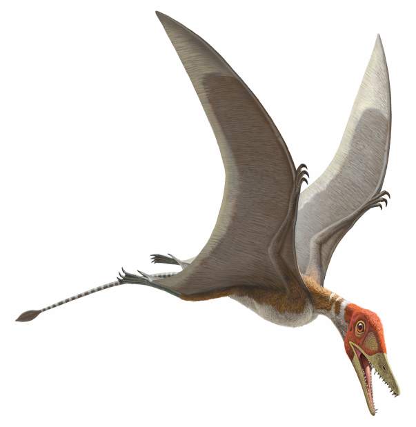 Slide 
													
													4