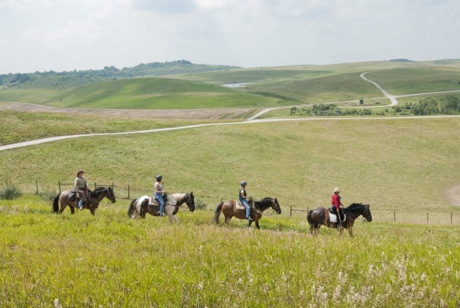 ptrlivRThorses1042813