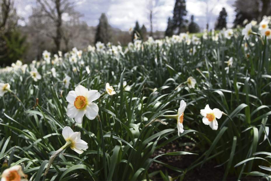 ptrlivarboretums10041516