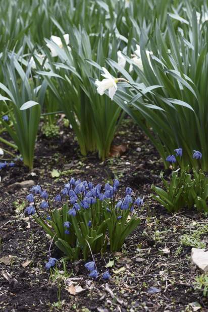 ptrlivarboretums12041516