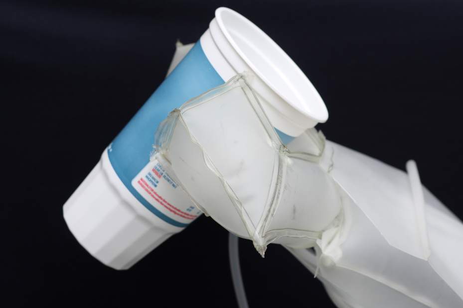 ptrlivbighero2111414