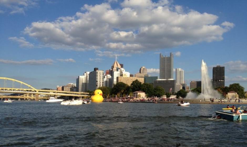 ptrlivducky14101513