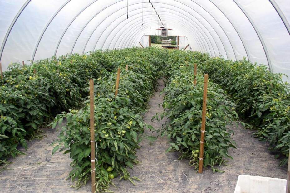 ptrlivfarmtour2093015 ptrlivfarmtour2093015